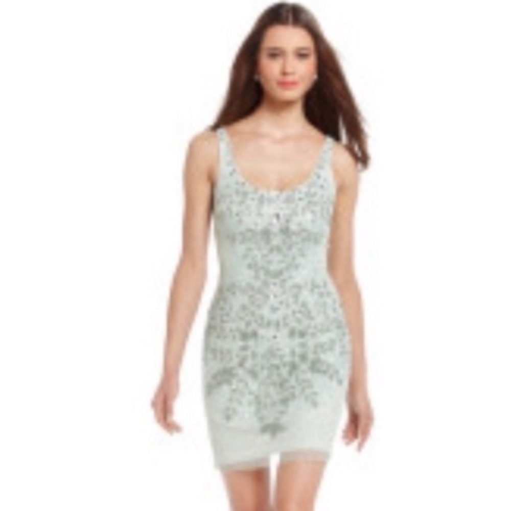 Gorgeous Adrianna Papell dress!!
